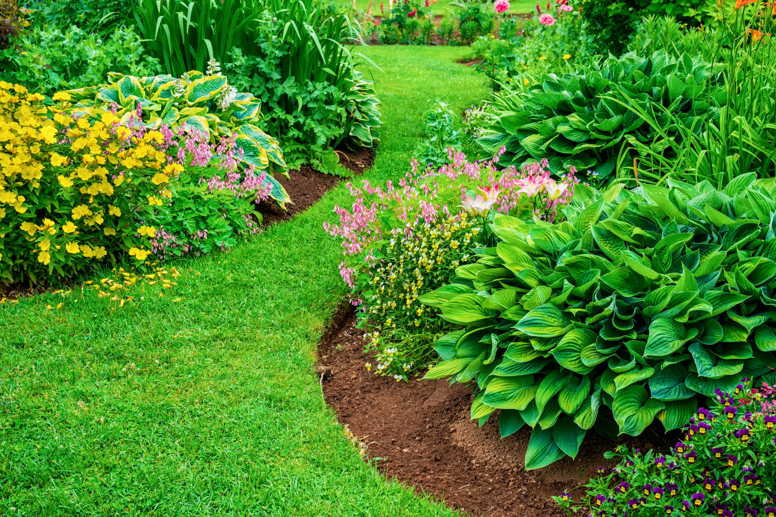 Lawn And Garden Tricks That'll Save You Time And Money - The Delite