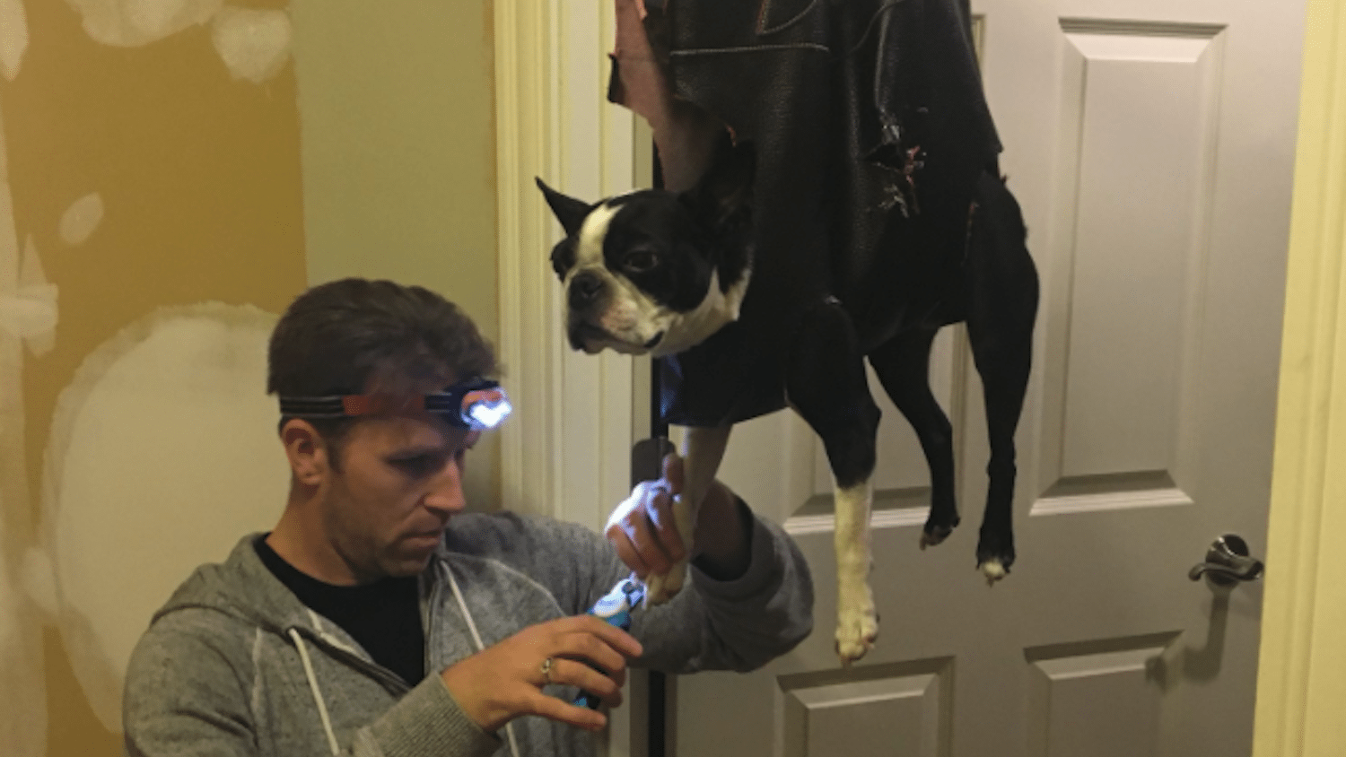 This Man Came Up A Brilliant Trick For Cutting His Dog’s