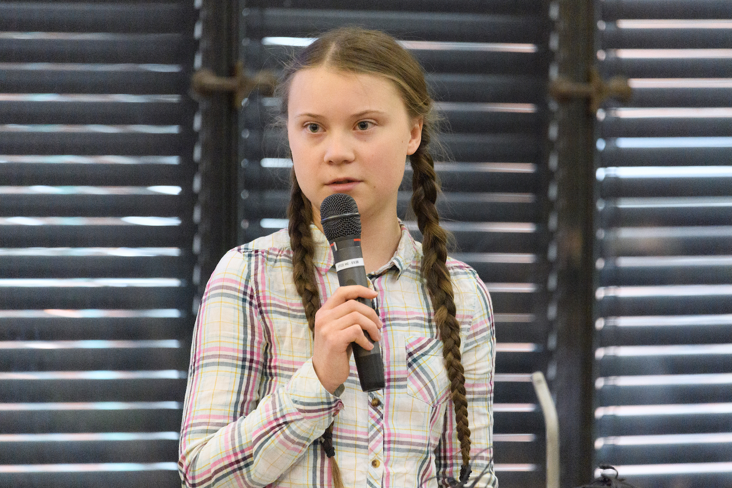 Greta Thunberg Addresses Parliament Climate Change Group Meeting - The Delite - Thedelite1500 x 1000